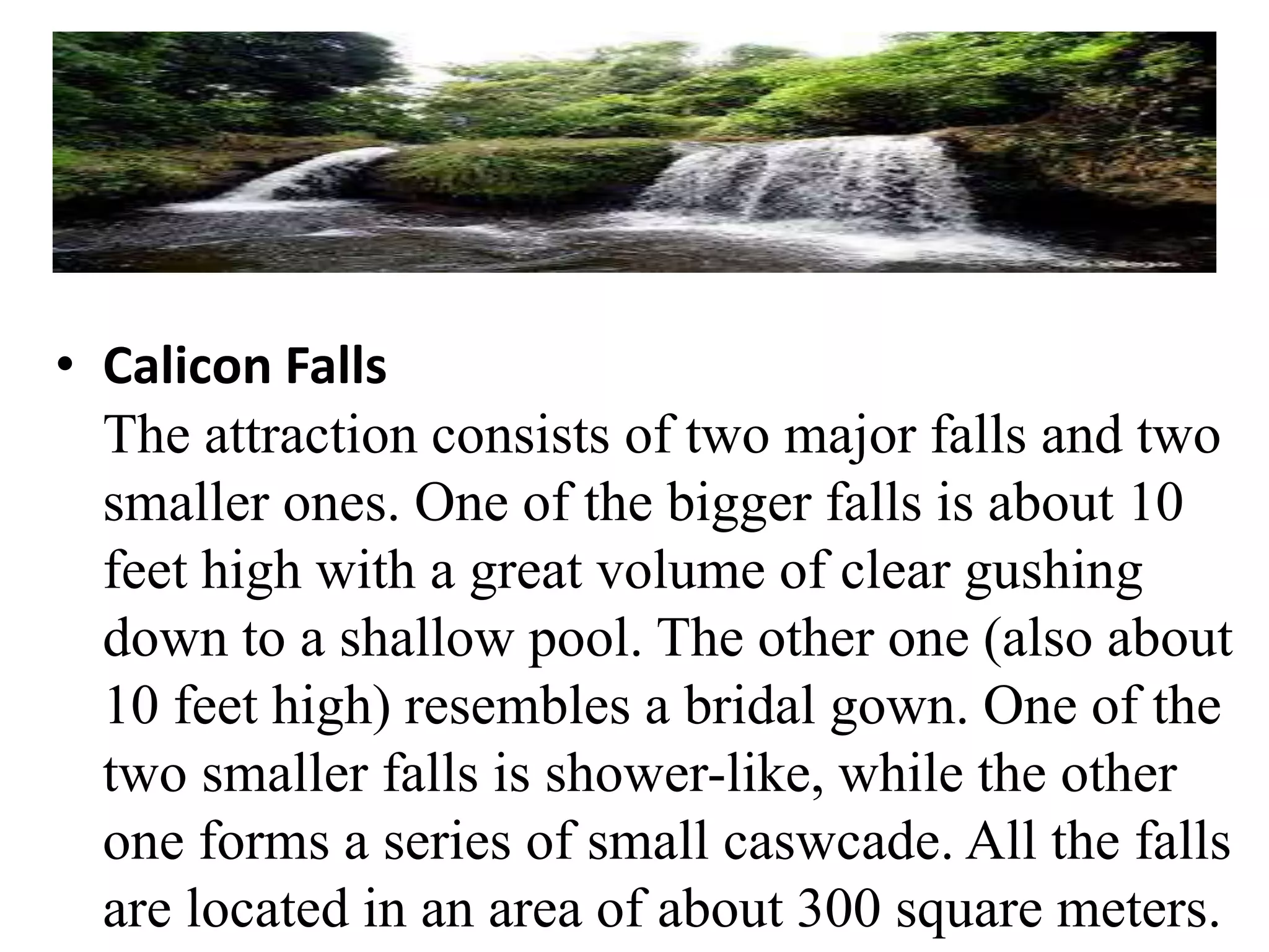 • Calicon Falls
The attraction consists of two major falls and two
smaller ones. One of the bigger falls is about 10
feet high with a great volume of clear gushing
down to a shallow pool. The other one (also about
10 feet high) resembles a bridal gown. One of the
two smaller falls is shower-like, while the other
one forms a series of small caswcade. All the falls
are located in an area of about 300 square meters.
 