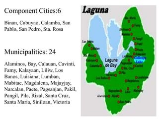 Component Cities:6
Binan, Cabuyao, Calamba, San
Pablo, San Pedro, Sta. Rosa
Municipalities: 24
Alaminos, Bay, Calauan, Cavinti,
Famy, Kalayaan, Liliw, Los
Banos, Luisiana, Lumban,
Mabitac, Magdalena, Majayjay,
Narcalan, Paete, Pagsanjan, Pakil,
Pangil, Pila, Rizal, Santa Cruz,
Santa Maria, Siniloan, Victoria
 