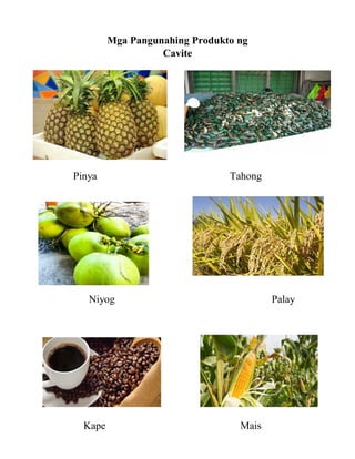 Mga Pangunahing Produkto ng
Cavite
Pinya Tahong
Niyog Palay
Kape Mais
 