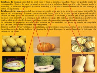 Calabaza de verano:  variedad de piel clara y fina y semillas blandas. Tiene un periodo corto de conservación. Dentro de esta variedad se encuentra la calabaza bonetera (de color blanco, verde o amarillo), la calabaza espagueti (de color amarillo) y la calabaza rondín (variedad de piel naranja y carne blanquecina). Calabaza de invierno:  variedad más dulce, pero más seca que la de verano, con menor contenido de agua y piel más gruesa. Se conserva durante más tiempo que la de verano gracias al grosor de su piel. Dentro de este grupo se encuentra la calabaza banana, la de cidra o zapallo (de pulpa gelatinosa e intenso color amarillo) y la confitera o de cabello de ángel (de forma y color variable), a partir de la cual se obtiene el cabello de ángel, utilizado como relleno en diversos productos de pastelería. La calabaza del peregrino o calabaza del vinatero es una variedad con forma de botella estrangulada que una vez seca puede utilizarse como recipiente. Existen también otras variedades de calabaza, aunque menos conocidas, como son la Americana, la Amarilla gruesa de París, la Llena de Nápoles, la Roja de Etampes, la Verde Española, la botonera y la calabacita de Brasil. 