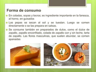 Forma de consumo
 En coladas, sopas y locros; es ingrediente importante en la fanesca,
al horno, en guisados
 Las pepas se secan al sol y se tuestan. Luego se comen
directamente o se las prepara en salsas.
 Se consume también en preparados de dulce, como el dulce de
zapallo, zapallo enconfitado, colada de zapallo con y sin leche, tarta
de zapallo. Las flores masculinas, que suelen abundar, se comen
apanadas
 