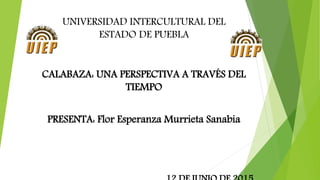 UNIVERSIDAD INTERCULTURAL DEL
ESTADO DE PUEBLA
CALABAZA: UNA PERSPECTIVA A TRAVÉS DEL
TIEMPO
PRESENTA: Flor Esperanza Murrieta Sanabia
 