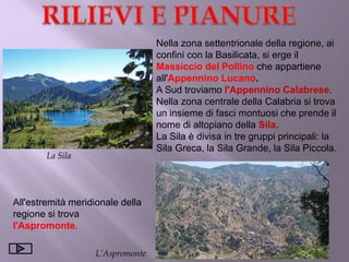 La Sila
L’Aspromonte
Nella zona settentrionale della regione, ai
confini con la Basilicata, si erge il
Massiccio del Pollino che appartiene
all'Appennino Lucano.
A Sud troviamo l'Appennino Calabrese.
Nella zona centrale della Calabria si trova
un insieme di fasci montuosi che prende il
nome di altopiano della Sila.
La Sila è divisa in tre gruppi principali: la
Sila Greca, la Sila Grande, la Sila Piccola.
All'estremità meridionale della
regione si trova
l'Aspromonte.
 