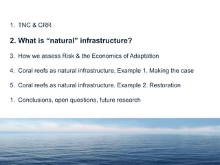 1. TNC & CRR
2. What is “natural” infrastructure?
3. How we assess Risk & the Economics of Adaptation
4. Coral reefs as natural infrastructure. Example 1. Making the case
5. Coral reefs as natural infrastructure. Example 2. Restoration
1. Conclusions, open questions, future research
 