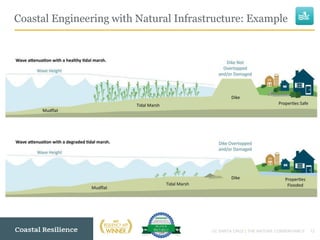 12
Coastal Engineering with Natural Infrastructure: Example
UC SANTA CRUZ | THE NATURE CONSERVANCY
 