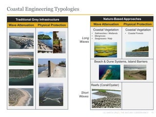 15
Coastal Engineering Typologies
UC SANTA CRUZ | THE NATURE CONSERVANCY
Traditional Grey Infrastructure
Wave Attenuation Physical Protection
Nature-Based Approaches
Wave Attenuation Physical Protection
Beach & Dune Systems, Island Barriers
Short
Waves
Long
Waves
Reefs (Coral/Oyster)
Coastal Vegetation Coastal Vegetation
• Saltmarshes / Wetlands
• Mangroves
• Seagrasses / Kelp
• Coastal Forests
 