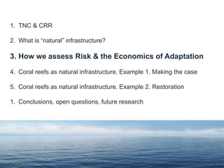 1. TNC & CRR
2. What is “natural” infrastructure?
3. How we assess Risk & the Economics of Adaptation
4. Coral reefs as natural infrastructure. Example 1. Making the case
5. Coral reefs as natural infrastructure. Example 2. Restoration
1. Conclusions, open questions, future research
 