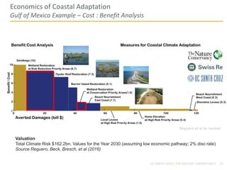 Economics of Coastal Adaptation
Gulf of Mexico Example – Cost : Benefit Analysis
20UC SANTA CRUZ | THE NATURE CONSERVANCY
Valuation
Total Climate Risk $162.2bn. Values for the Year 2030 (assuming low economic pathway; 2% disc rate)
Source Reguero, Beck, Bresch, et al (2016)
Reguero et al (in review)
 