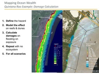 28UC SANTA CRUZ | THE NATURE CONSERVANCY
Mapping Ocean Wealth
Quintana Roo Example: Damage Calculation
1. Define the hazard
2. Model the effect
on reefs & dunes
3. Calculate
damages on
flooding on
exposure
4. Repeat with no
ecosystem
5. For all scenarios
 
