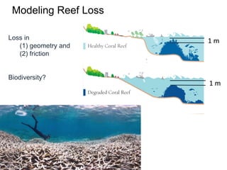 v
v
1 m
v
1 m
Modeling Reef Loss
Loss in
(1) geometry and
(2) friction
Biodiversity?
 