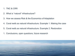 1. TNC & CRR
2. What is “natural” infrastructure?
3. How we assess Risk & the Economics of Adaptation
4. Coral reefs as natural infrastructure. Example 1. Making the case
5. Coral reefs as natural infrastructure. Example 2. Restoration
1. Conclusions, open questions, future research
 