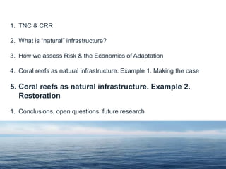 1. TNC & CRR
2. What is “natural” infrastructure?
3. How we assess Risk & the Economics of Adaptation
4. Coral reefs as natural infrastructure. Example 1. Making the case
5. Coral reefs as natural infrastructure. Example 2.
Restoration
1. Conclusions, open questions, future research
 