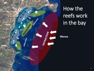 37
How the
reefs work
in the bay
Waves
 
