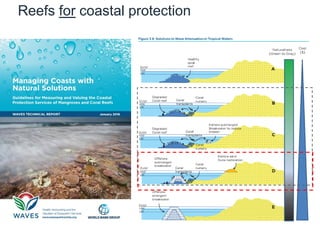 Reefs for coastal protection
 