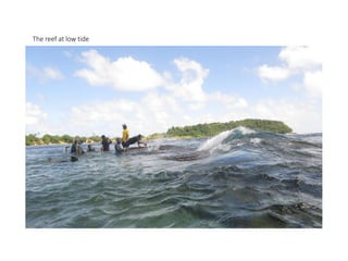 The reef at low tide
 