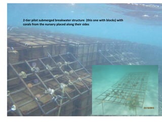 2-tier pilot submerged breakwater structure (this one with blocks) with
corals from the nursery placed along their sides
 