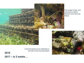 Fish usage is high, and
continues to attract
attention from the local
fishers
2016
2017 – in 2 weeks…
Coral transplants have stabilized or
the rate of loss has decreased
 
