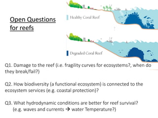 v
vQ1. Damage to the reef (i.e. fragility curves for ecosystems?, when do
they break/fail?)
Q2. How biodiversity (a functional ecosystem) is connected to the
ecosystem services (e.g. coastal protection)?
Q3. What hydrodynamic conditions are better for reef survival?
(e.g. waves and currents  water Temperature?)
Open Questions
for reefs
 