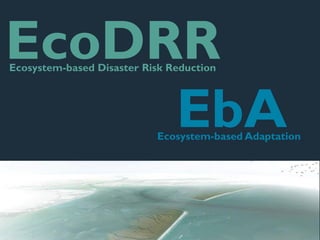 EcoDRR
EbAEcosystem-based Adaptation
Ecosystem-based Disaster Risk Reduction
 