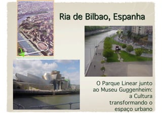 O Parque Linear junto
ao Museu Guggenheim:
             a Cultura
     transformando o
       espaço urbano 
 