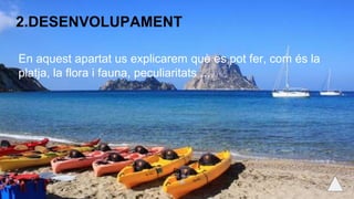 2.DESENVOLUPAMENT
En aquest apartat us explicarem què es pot fer, com és la
platja, la flora i fauna, peculiaritats ...
 