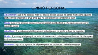 OPINIÓ PERSONAL
Alba Ramon: a jo m’ha agradat molt fer aquest treball, ja que he après molt sobre aquesta
platja i m’ha encantat el grup amb que he treballat m’he sentit molt a gust
Marta: A jo m’ha agradat perquè m’ho he passat molt bé fent-lo i he après coses sobre
aquesta platja.
Alba Riera: A jo m’ha agradat fer aquest treball ja que he après la flora de la platja.
Noelia: A jo m’agradat perquè ha set molt interessant, m’ho he passat bastant bé i he après
moltíssimes coses.
Dhonavan: a jo m’ha agradat fer el powerpoint als ordinador i treballar en grup.
 