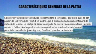 Cala d'Hort és una platja reduïda i encantadora a la vegada, des de la qual es pot
gaudir de les vistes de l’illot d'Es Vedrà, que s'aixeca només a uns centenars de
metres de la riba. La platja és súper coneguda, té sorra fina en un extrem i és més
rocosa a l'altra. Molta gent acudeix a aquest entorn natural absolutament
paradisíac: residents joves i grans, famílies i parelles de turistes.
CARACTERÍSTIQUES GENERALS DE LA PLATJA
 