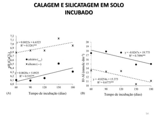 CALAGEM E SILICATAGEM EM SOLO
INCUBADO

54

 