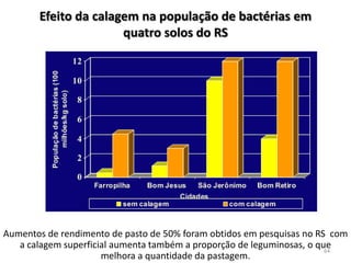 Efeito da calagem na população de bactérias em
quatro solos do RS

Aumentos de rendimento de pasto de 50% foram obtidos em pesquisas no RS com
a calagem superficial aumenta também a proporção de leguminosas, o que
64
melhora a quantidade da pastagem.

 