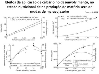 Efeitos da aplicação de calcário no desenvolvimento, no
estado nutricional de na produção de matéria seca de
mudas de maracujazeiro
Prado et al., 2004

65

 
