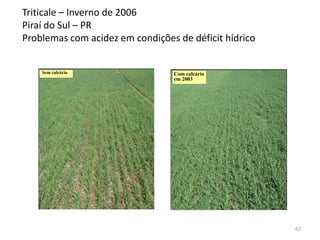 Triticale – Inverno de 2006
Piraí do Sul – PR
Problemas com acidez em condições de déficit hídrico

Sem calcário

Com calcário
em 2003

67

 