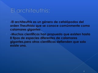  -El architeuthis es un género de cefalópodos del
orden Theuthida que se conoce comúnmente como
calamares gigantes .
 -Muchos científicos han propuesto que existen hasta
8 tipos de especies diferentes de calamares
gigantes,pero otros científicos defienden que solo
existe una.
2
 