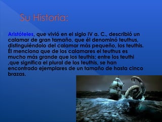  Aristóteles, que vivió en el siglo IV a. C., describió un
calamar de gran tamaño, que él denominó teuthus,
distinguiéndolo del calamar más pequeño, los teuthis.
Él menciona que de los calamares el teuthus es
mucho más grande que los teuthis; entre los teuthi
,que significa el plural de los teuthis, se han
encontrado ejemplares de un tamaño de hasta cinco
brazas.
 