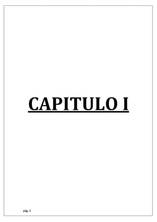 pág. 3
CAPITULO I
 