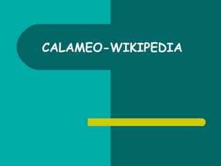 CALAMEO-WIKIPEDIA 