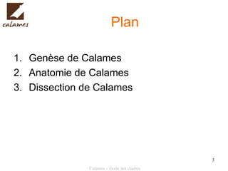 Plan Genèse de Calames Anatomie de Calames Dissection de Calames 