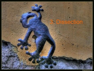 3. Dissection 