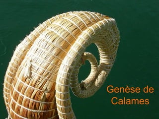 Genèse de Calames 