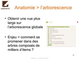 Anatomie > l’arborescence Obtenir une vue plus large sur l’arborescence globale Enjeu = comment se promener dans des arbres composés de milliers d’items ? 