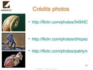 Crédits photos http://flickr.com/photos/54945394@N00/1338967778/   http://flickr.com/photos/drlopezfranco/1447712697/ http://flickr.com/photos/patrlynch/450129440/ 