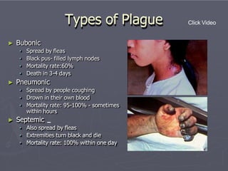 Types of Plague
► Bubonic
• Spread by fleas
• Black pus- filled lymph nodes
• Mortality rate:60%
• Death in 3-4 days
► Pneumonic
• Spread by people coughing
• Drown in their own blood
• Mortality rate: 95-100% - sometimes
within hours
► Septemic
• Also spread by fleas
• Extremities turn black and die
• Mortality rate: 100% within one day
Click Video
 