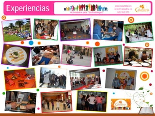 Experiencias

Actividades para “Disfrutólogos”

www.calandria.es
ocio@calandria.es
605 963 870

 