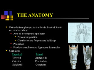  Supraglottis
 Epiglottis
 Aryepiglotic Fold
 Arytenoids
 False cords and Ventricle
 Glottis
 True vocal cords
 Anterior & Posterior commissures
 Subglottis
 Upto lower border of cricoid catilage
SUBSITES
 