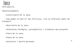ÍNDEX
*Introducció.
*Desenvolupament:
*Localització de la zona.
*Com podem arribar-hi des d’Eivissa, vila en diferents med...