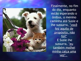  Finalmente, no fim
  do dia, enquanto
 estão esperando o
  ônibus, o menino
caminha até Susie e
 lhe sussurra, "você
    fez aquilo de
    propósito, não
          foi?"
       E Susie lhe
     sussurra, "eu
   também molhei
  minha calça uma
         vez".  
 