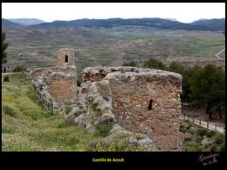 Castillo de Ayyub
 