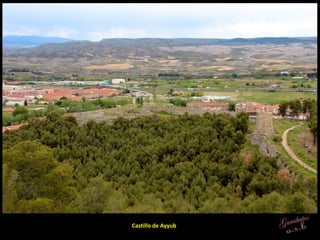 Castillo de Ayyub
 