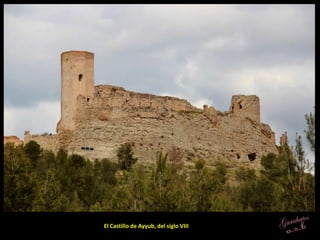 El Castillo de Ayyub, del siglo VIII
 