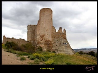 Castillo de Ayyub
 