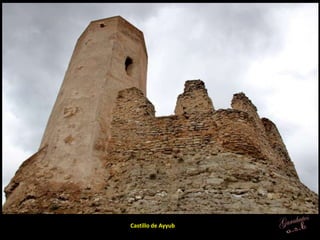 Castillo de Ayyub
 